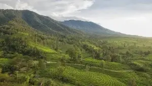 Menjelajahi Pesona Alam Sentul dengan Aman dan Profesional Bersama Lintas Alam Sentul