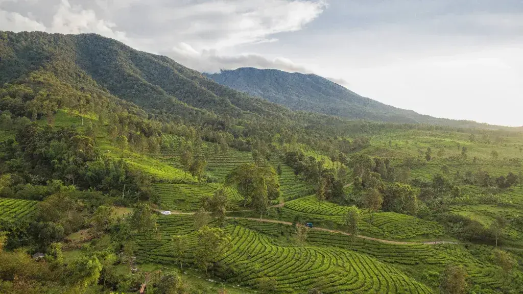 Menjelajahi Pesona Alam Sentul dengan Aman dan Profesional Bersama Lintas Alam Sentul